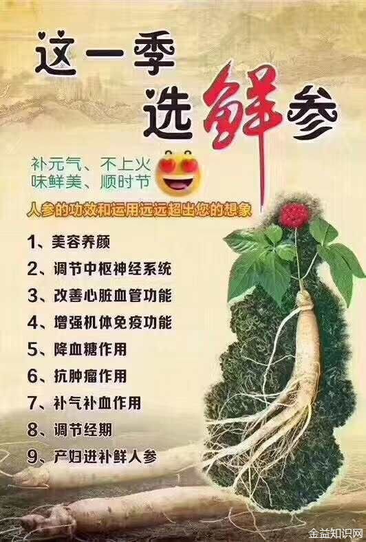 鹿托盘粉的功效与作用_鹿托盘粉的功效禁忌_鹿托盘粉经常喝好吗